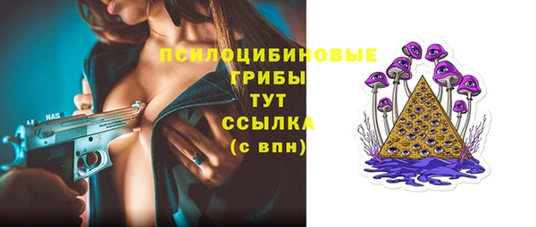 МДПВ Вязьма