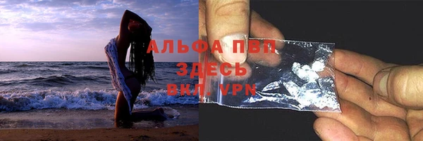 гидра Вязники
