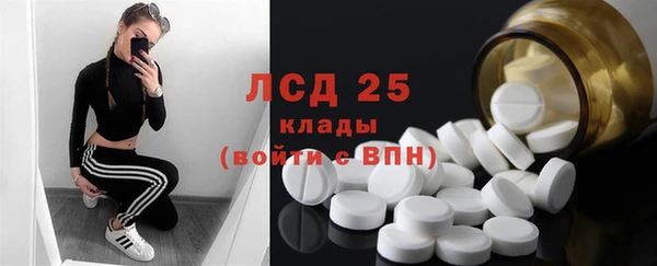гидра Вязники