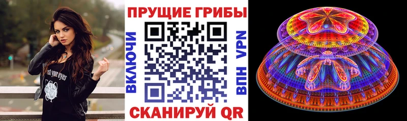 Псилоцибиновые грибы GOLDEN TEACHER  Купить где  Вельск 